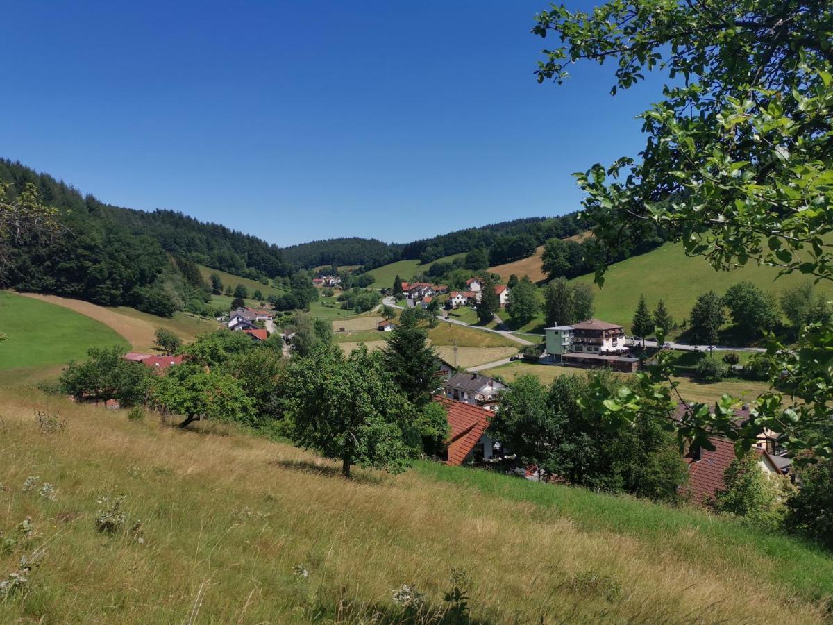 Hotel Gruener Baum Mit Restaurant & Wellness Oberzent Exteriör bild