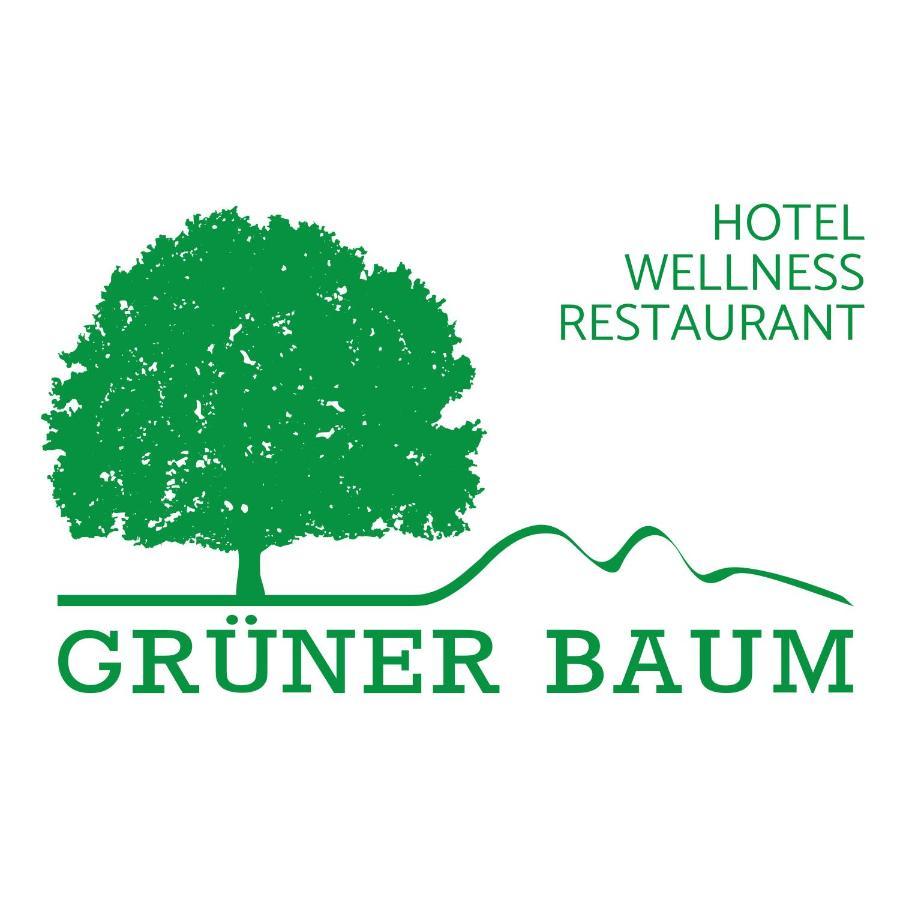 Hotel Gruener Baum Mit Restaurant & Wellness Oberzent Exteriör bild