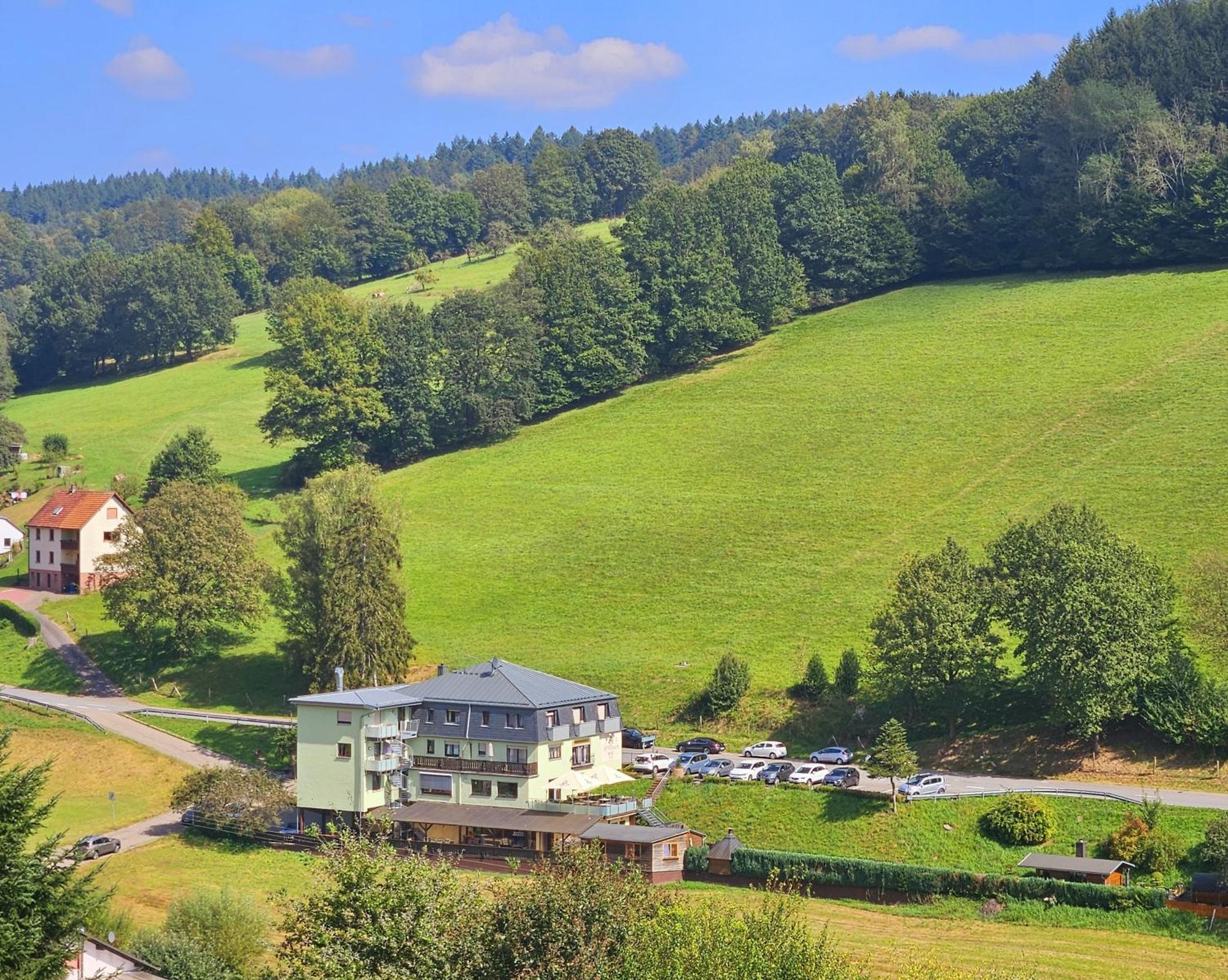 Hotel Gruener Baum Mit Restaurant & Wellness Oberzent Exteriör bild