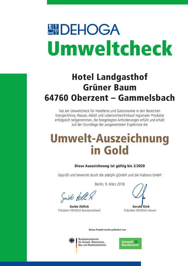 Hotel Gruener Baum Mit Restaurant & Wellness Oberzent Exteriör bild